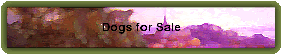Dogs for sale