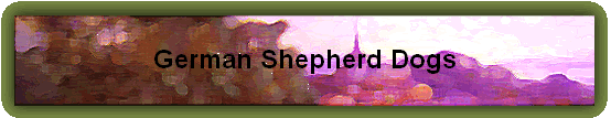 German Shepherd Dogs