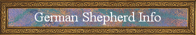 German Shepherd Info