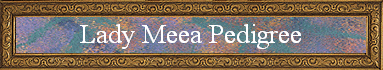 Lady Meea Pedigree