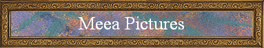 Meea Pictures