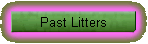 Past Litters