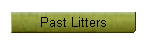 Past Litters