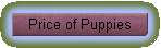 Price of Puppies