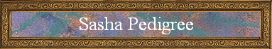 Sasha Pedigree