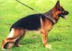 Small picture of VA3 Mack von Aducht