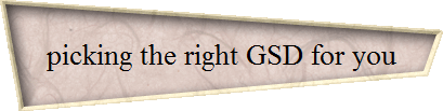 picking the right GSD for you