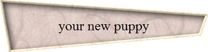 your new puppy